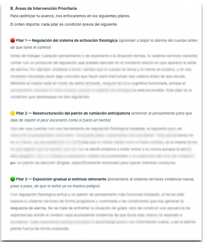 Establecemos las áreas de intervención prioritarias basadas en 3 pilares